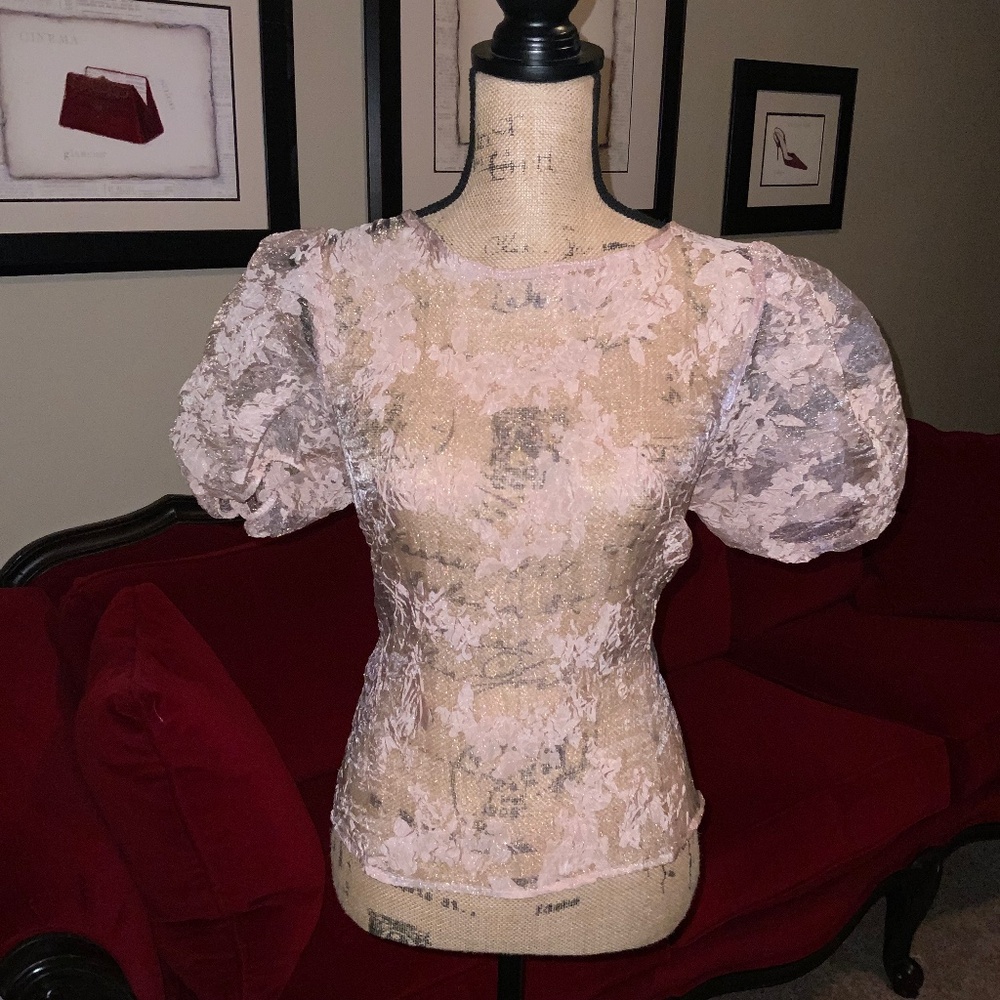 Sheer Pink Perfect Blouse